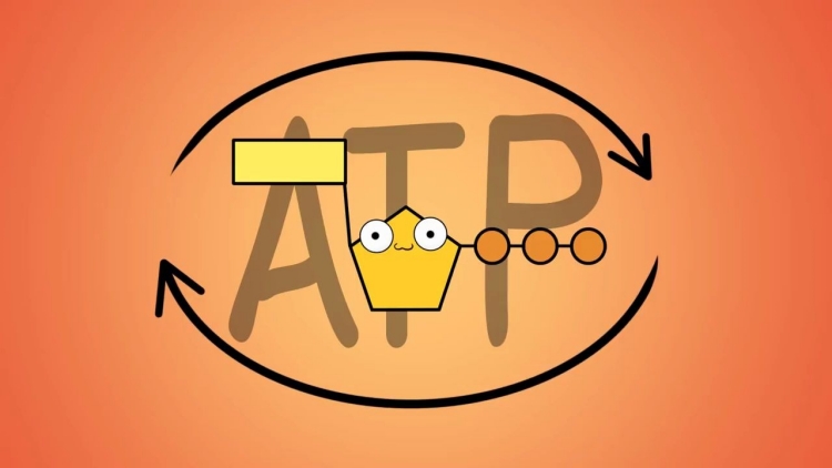 ATP快速熒光檢測儀是一種高效、準(zhǔn)確、易操作的設(shè)備